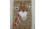 giraffe motif