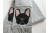 French bulldog scarf