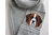 Saint Bernard scarf