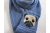 pug dog scarf