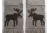 back side of moose