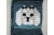 close up Maltese dog