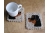 Rottweiler dog gifts