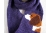 beagle scarf