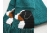 mountain dog scarf