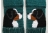 mountain dogs