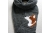 corgi infinity scarf