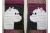 close up westie dogs