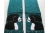 teal water dog scarf