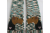 Lakeland terrier scarf