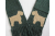 green dog scarf