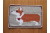 corgi decor