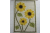 sunflowers wall art