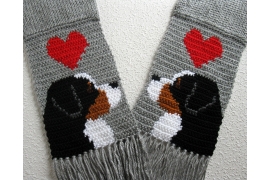 Bernese mountain dogs