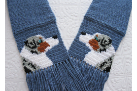 Australian shepherds