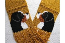 Bernese mountain dog