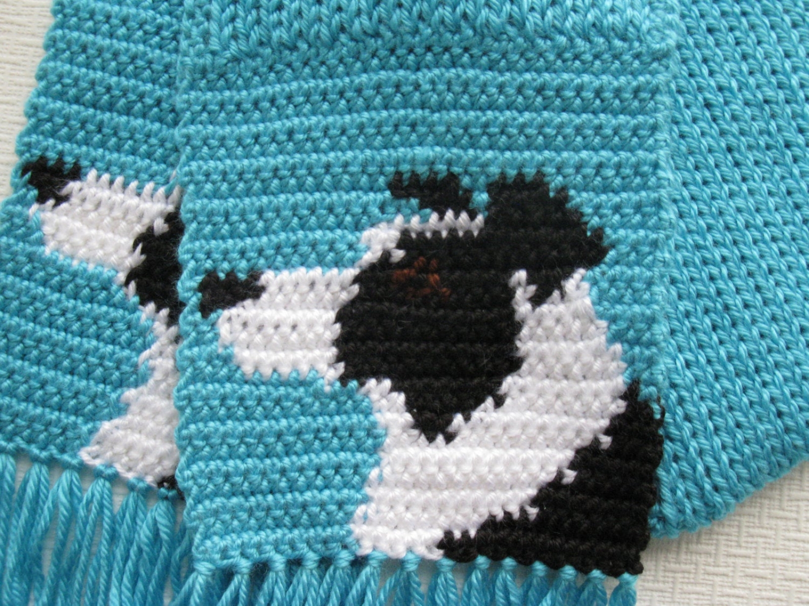 Border Collie Scarf. Turquoise blue knit scarf with black and white ...