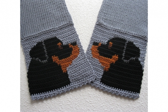 Rottweiler Dogs