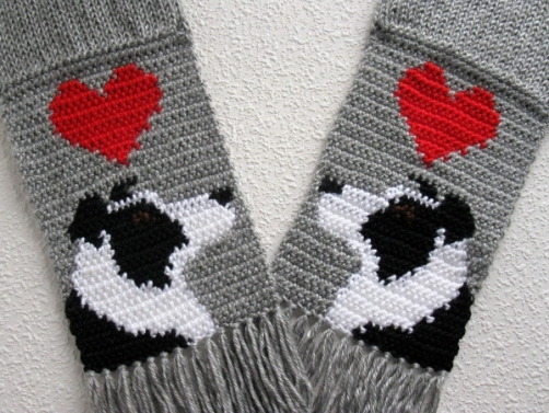 Border collie scarf