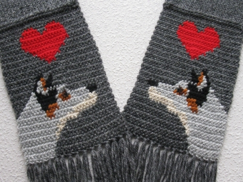 Australian Cattle Dog