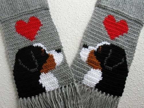 Bernese Mountain Dog