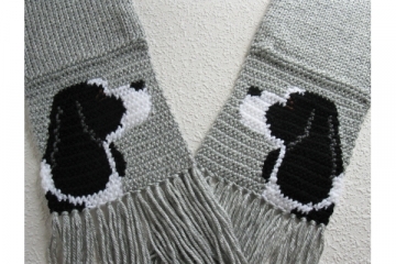 Black and White Springer Spaniel