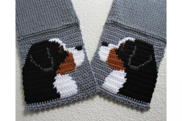 Bernese Mountain Dog