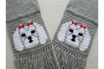 Maltese with red bows