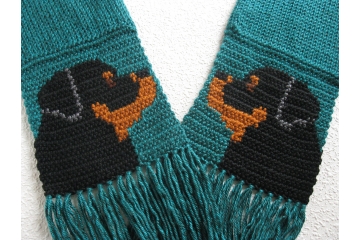 Rottweiler Scarf. Teal knit scarf for pet lovers with black dogs
