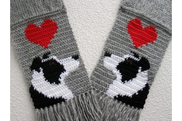 Border collie scarf