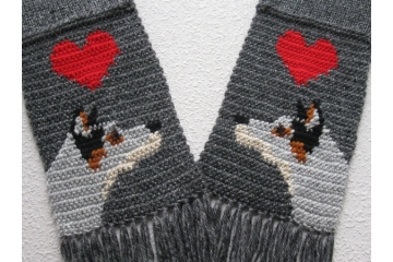 Australian Cattle Dog