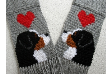 Bernese Mountain Dog