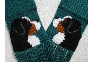 Bernese Mountain Dog