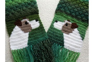 Parsons Jack Russell Terrier