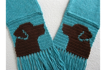 Chocolate Labrador Dog