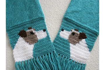 Jack Russell Terrier