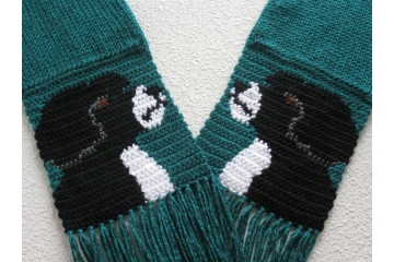 Portuguese Water Dog